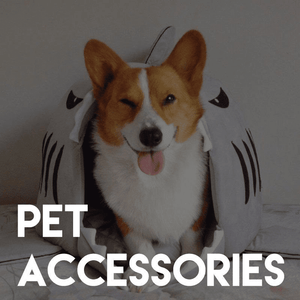 Pet Accessories