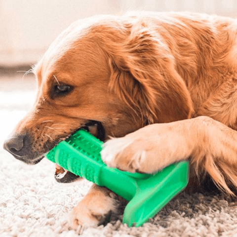 Dental Pet Brushing Stick