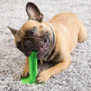 Dental Pet Brushing Stick